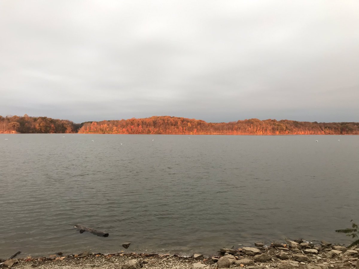 Virginia Men’s Rowing tweet media