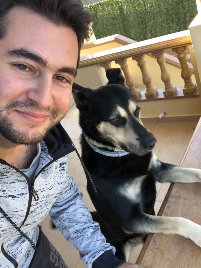 🐶🐶🐶🐶😃😃😍😍😍😂😂