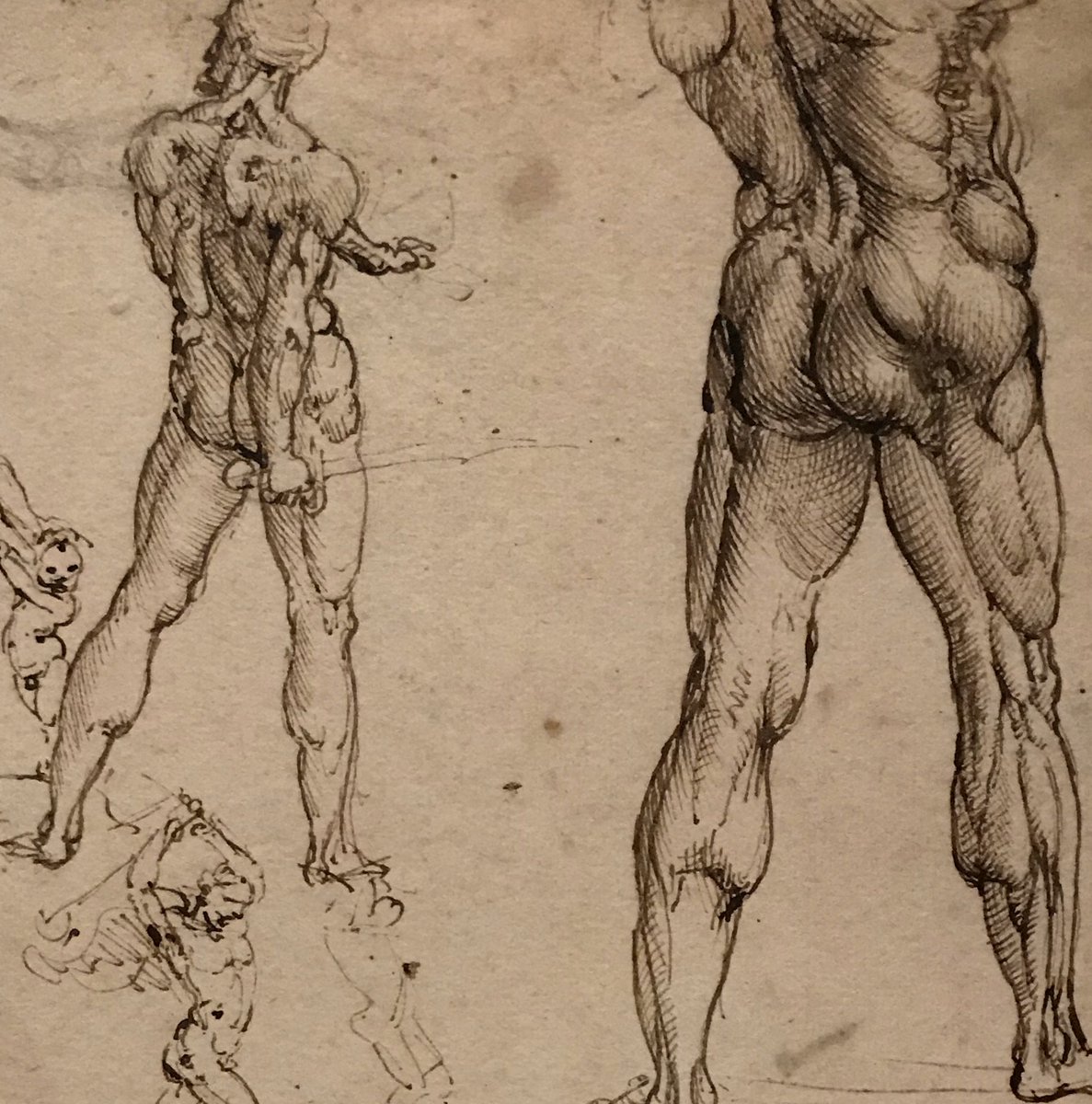 contactzoub's tweet photo. #louvre #leonarddevinci https://t.co/taAjn6eyHw
