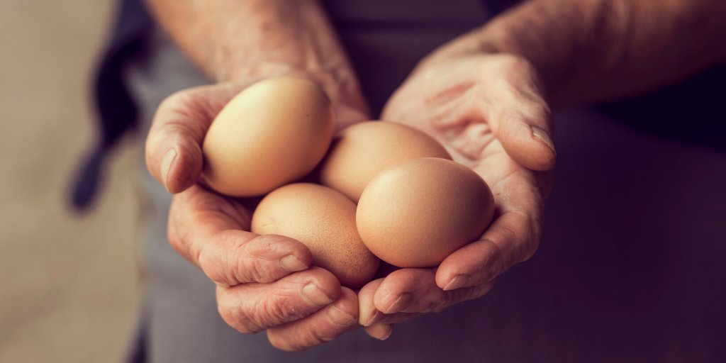 liveunitedri's tweet photo. 🍳Sunny-side up, over easy, or scrambled? No matter how you like your eggs, join us on Tues, Nov. 5, for the Good Neighbor Energy Fund Campaign Kickoff Breakfast 🥞. To register, contact dave@dodgeadv.com or (401) 273-7310. #GNEF #liveunitedri #warmthyneighbor https://t.co/PrDUv1BqBP
