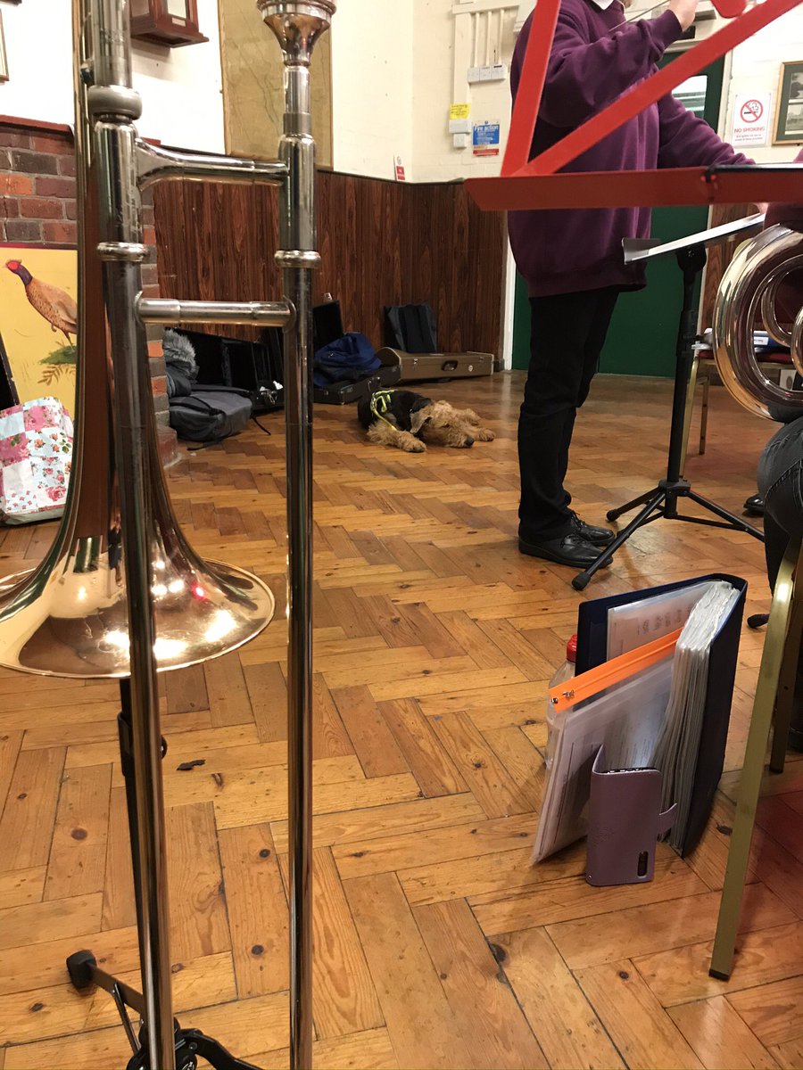 Ellesborough_SB's tweet photo. We had a guest for rehearsals yesterday. The gorgeous Dudley the 7 month old Airedale. He behaved very well (but not perfectly) and we didn’t scare him too much! #brassband #musicaldogs #doglovers https://t.co/eMet6pWQvq