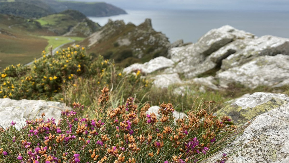 Adrian Beasley tweet media