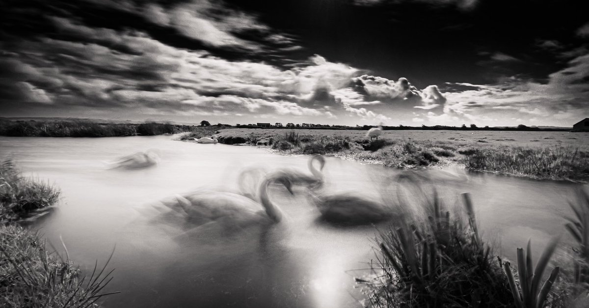 Adrian Beasley tweet media