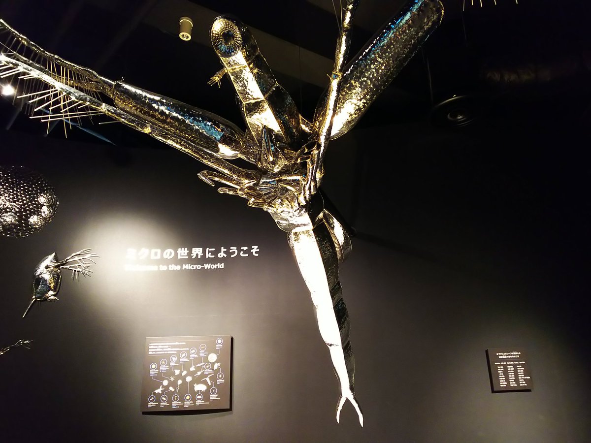 Gabongi Twitterissa こちらも琵琶湖博物館で買ったノロというプランクトンの磁器製フィギュア ミジンコ類の1属らしいが とにかくカッコいいデザインだ しかし こんなもの迄フィギュア化してしまうとは恐るべし