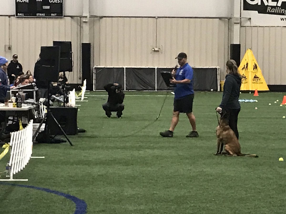 Protection Sports Association - National Dog Event - this weekend at Total Turf Experience. Free to Public.