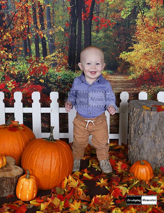 PlatteRiverMall's tweet photo. Today is the last day to take advantage of $15 fall mini sessions at Developing Photography Studio!

Tag a family who could use this! https://t.co/uQtxp55Pt9
