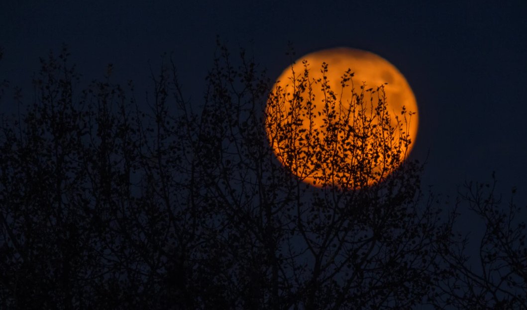 SuffolkWire tweet media