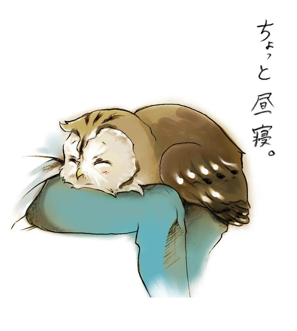 #11月なのでフォロワーさんに自己紹介しようぜ
「ふくるるさんの華麗な日々」
~知ってる人は知っている豆知識つき~
2話目を投稿し忘れて1年たってた!!
こうゆうかんじだけど元気に生きています…。