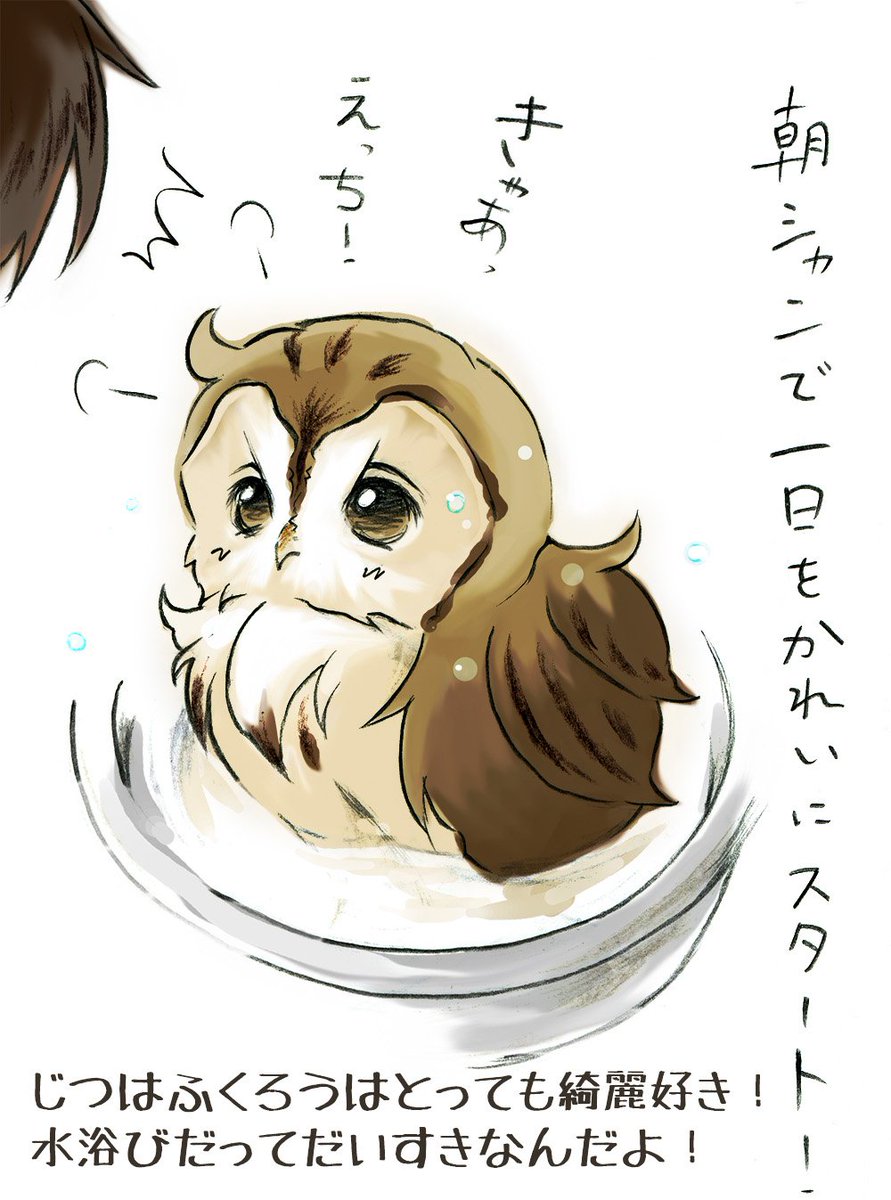 #11月なのでフォロワーさんに自己紹介しようぜ
「ふくるるさんの華麗な日々」
~知ってる人は知っている豆知識つき~
2話目を投稿し忘れて1年たってた!!
こうゆうかんじだけど元気に生きています…。