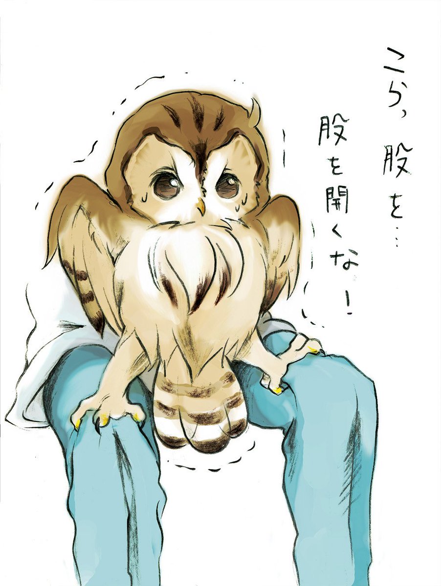 #11月なのでフォロワーさんに自己紹介しようぜ
「ふくるるさんの華麗な日々」
~知ってる人は知っている豆知識つき~
2話目を投稿し忘れて1年たってた!!
こうゆうかんじだけど元気に生きています…。
