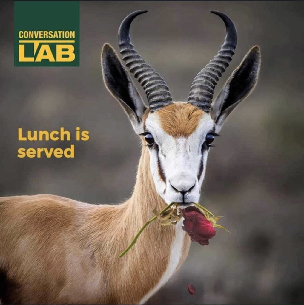 #RWCFinal #Springboks #ENGvRSA

A short story