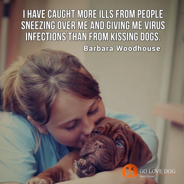 GoLoveDogs's tweet photo. I want is to kiss you, hug you, love you.🐾❤️

It's just the most amazing thing to love a dog. Sharing ❤️ friends 👫👬 who may love it.  

#gsd #germanshepherd #dog #dogs https://t.co/zimzk1956o