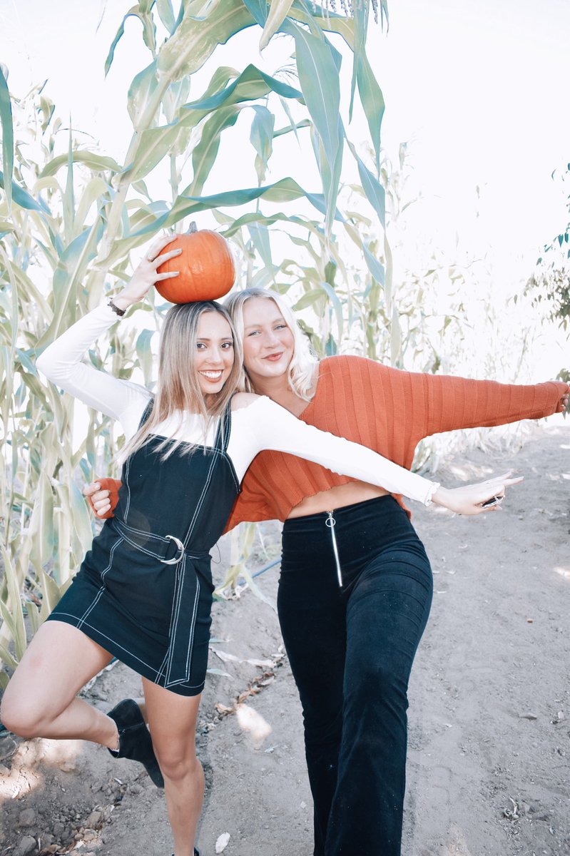 ✰ Pi Beta Phi SDSU ✰ tweet media