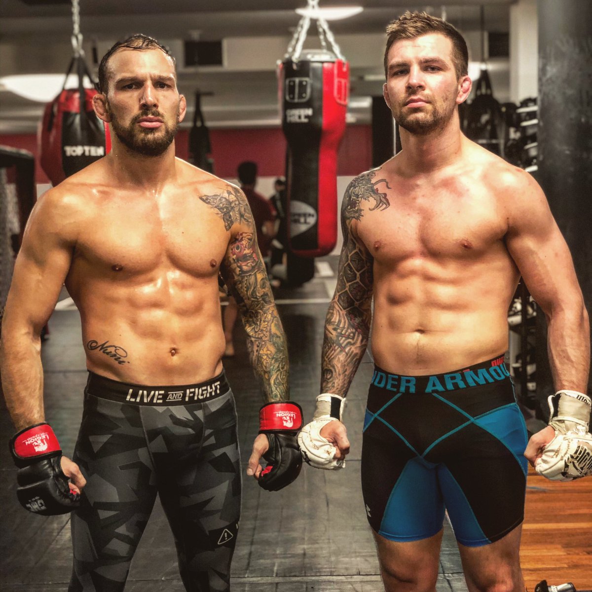 #frankfurtkingz #gmc23 #mma