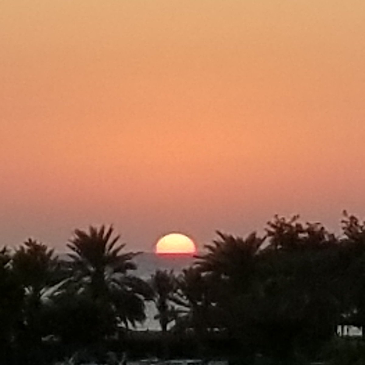 learnABCusa's tweet image. #shortforms @learnABCusa