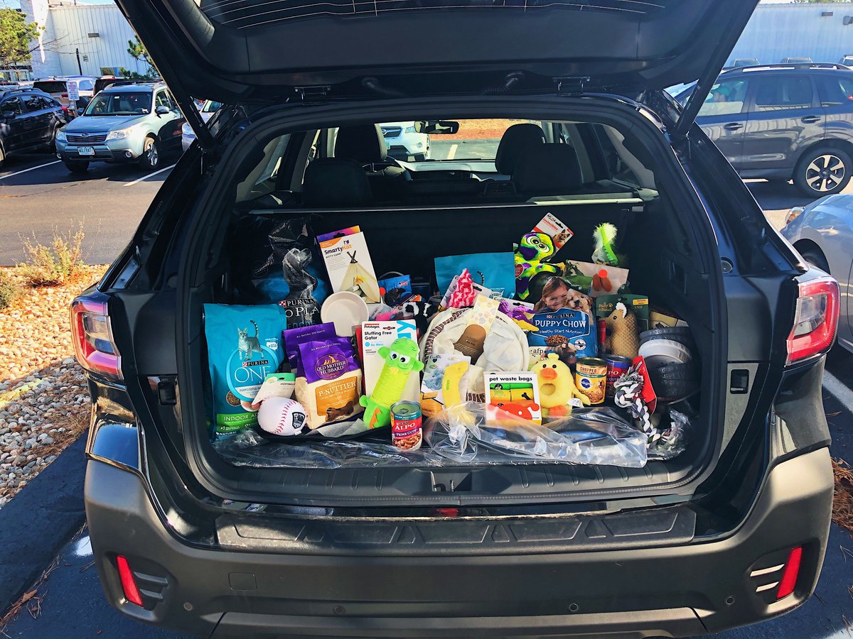 EdReillySubaru's tweet photo. Throughout October, @EdReillySubaru accepted donations of pet supplies to be donated to @PMSPCA in #Concord, NH. We're thankful to partner with this organization to help local animals in need❤️. #SubaruLovesPets
🐱 Peep Oakley in the last picture who is ready for adoption! https://t.co/2Rrk6UAUuX