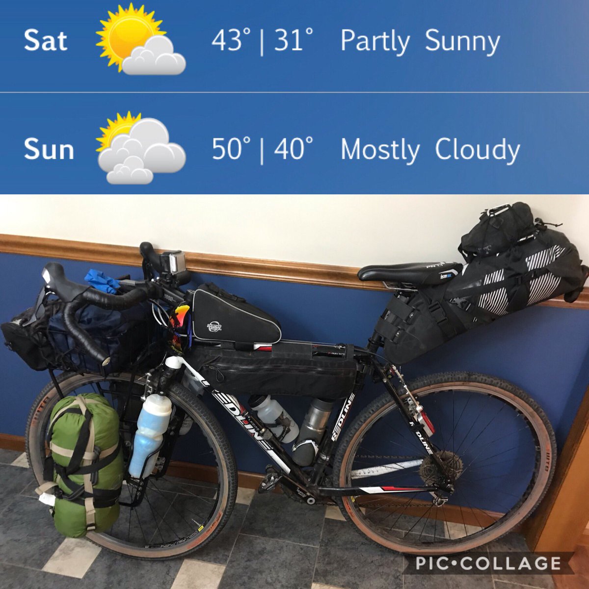 Casey Schumm tweet media