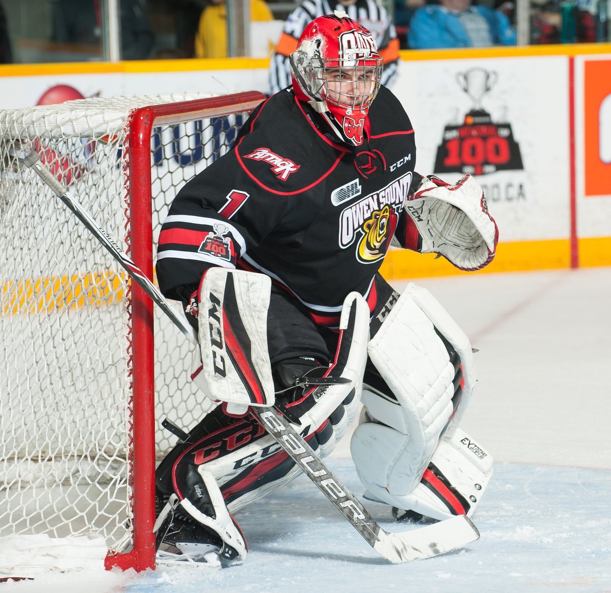 BayshoreFred's tweet photo. Win for @AttackOHL GK @GuzdaMack last night at @OHLRangers was his 41st @OHLHockey Win. He's tied for 8th in #Platers-@AttackOHL franchise history, 1 win back of @brandonhope1 @NewsBayshore https://t.co/xcjcJ2duGG