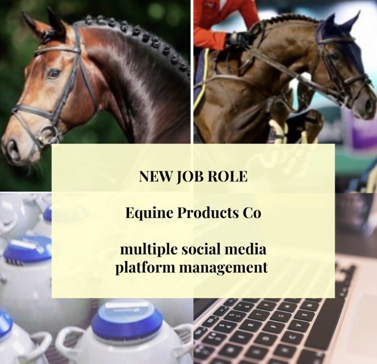 One of the UK's leading stud and semen agents is searching for a new person to join their office team! Experienced in multiple social media platforms management and be able to write content for publication.   #horsejobs #equestrian equiroleglobal.com