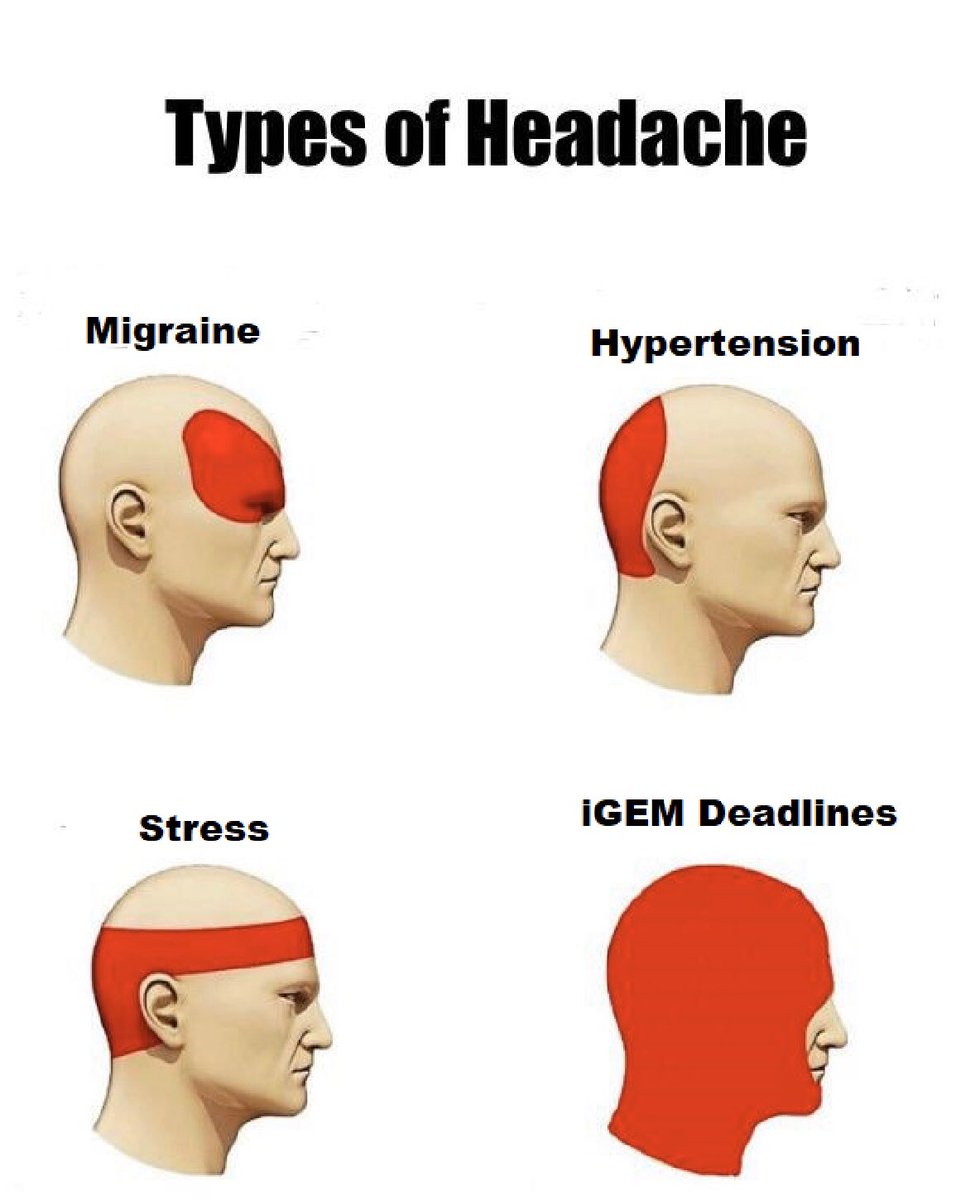 igem.upna (@igem_upna2022) on Twitter photo We have been the 🥇winners🥇 of <a href="/IgemSaint/">iGEMSaintJosephIstanbul</a> meme contest.
Thank you for considering our meme the best one 😊😊😊
#iGEM2019 #GiantJamboree #WINNER #Memes We have been the 🥇winners🥇 of <a href="/IgemSaint/">iGEMSaintJosephIstanbul</a> meme contest.
Thank you for considering our meme the best one 😊😊😊
#iGEM2019 #GiantJamboree #WINNER #Memes
