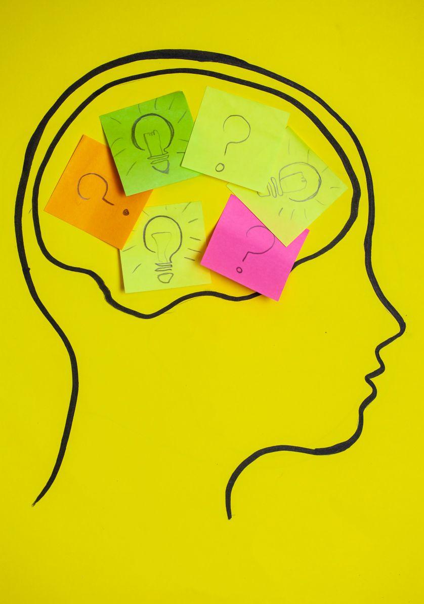 franceculture's tweet image. Prendre une décision : les erreurs d’évaluation de notre cerveau sont plus déterminantes que la curiosité franceculture.fr/emissions/le-j…