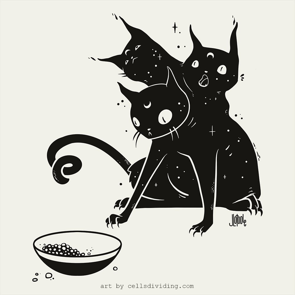 Jennifer O Toole The Three Headed Cat And His Half Empty Bowl I Didn T Intend This But They Kind Of Look Like They Re Going Through Some Of The 5 Different Stages Of