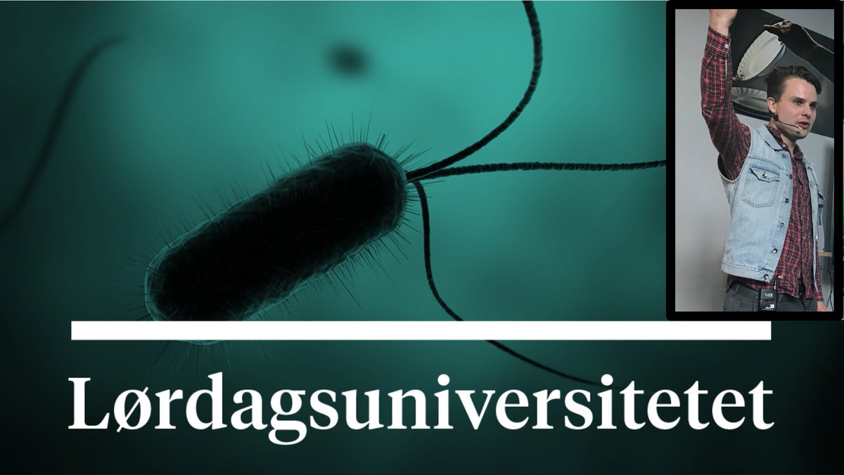 JonasNoeland's tweet photo. Gøy å få inspirere et engasjerende publikum i dag på 
@porsbib  "Banebrytende Teknologi for en Bedre Verden"
#LookToNature
#Bærekraft
#Biomimikk
#Lørdagsuniversitetet https://t.co/qjNzeyth6U