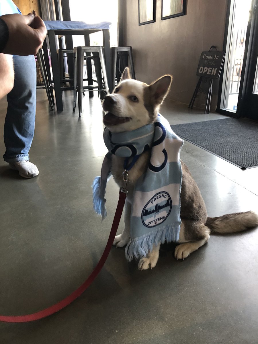 fresnocityzens's tweet image. Say hello to Cooper! Our newest Cityzen. @Cityzens @ManCity @PLinUSA @ManCityUS #mancityosc