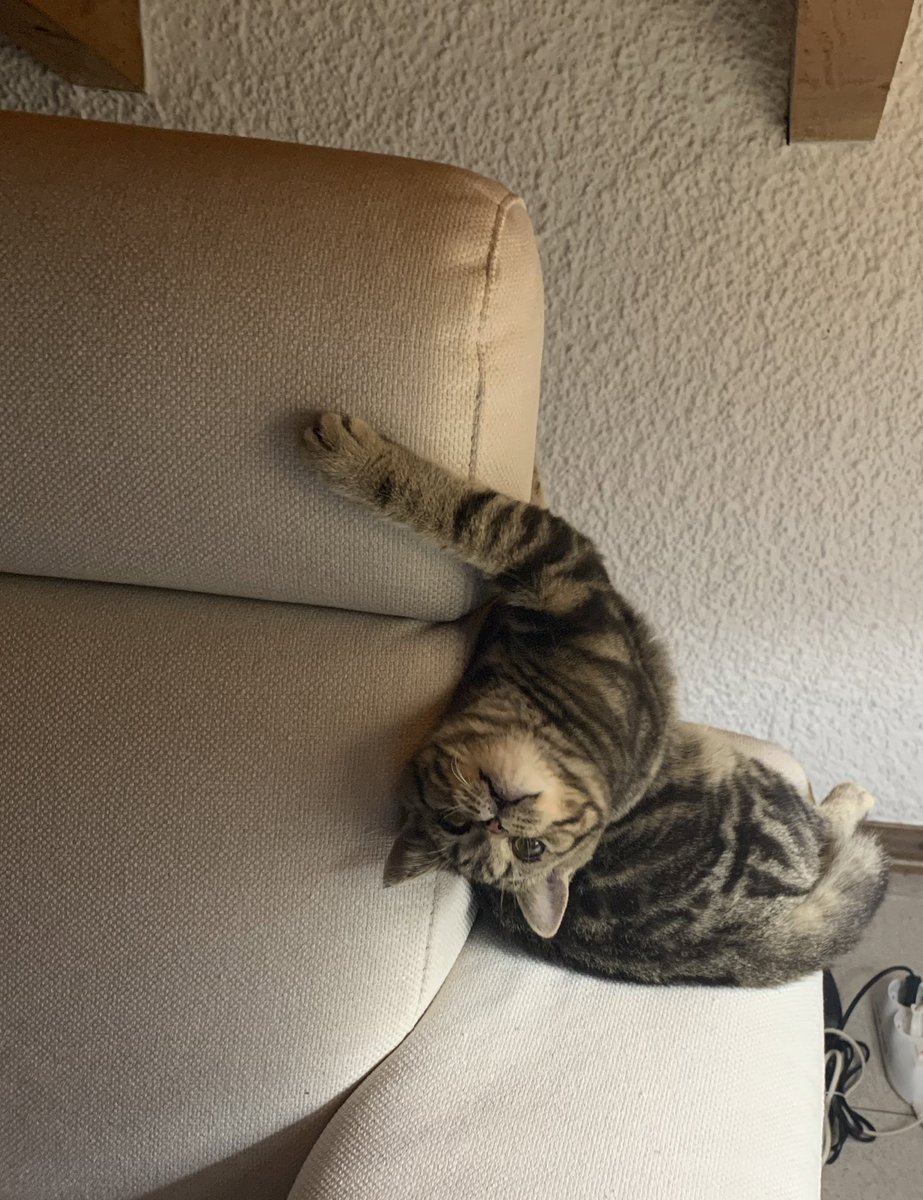 KiaCentazzo's tweet photo. Guardo il mondo da un’altra angolazione #pepeamoremio #SaturdayVibes https://t.co/kuh1kTChzl