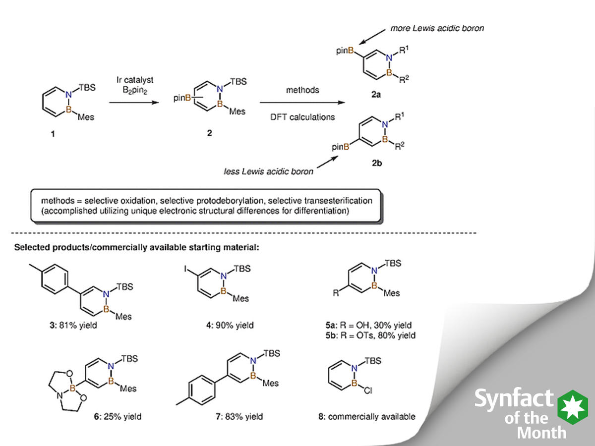 thiemechemistry's tweet photo. Interest in #azaborine ring systems is increasing in material science and #medicinalchemistry. Shih-Yuan Liu and co-workers made a great contribution to the field by synthesising two azaborine building blocks ➡️ https://t.co/HWahTC1frx
(highlighted by the @SnieckusGroup) https://t.co/UPcLXtjWt4