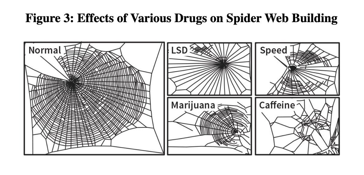 влияние наркотиков на паутину