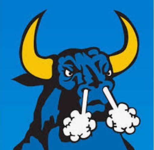 PatriciaFacquet's tweet photo. @teddyb_h2o @Saints #Teddy5 this is phenomenal. Always great to go home to your Alma Mater #GeauxBulls 💙💛 love your #SupaStrut #WhoDat 🖤💛🏈 https://t.co/8ogeNFS6A1