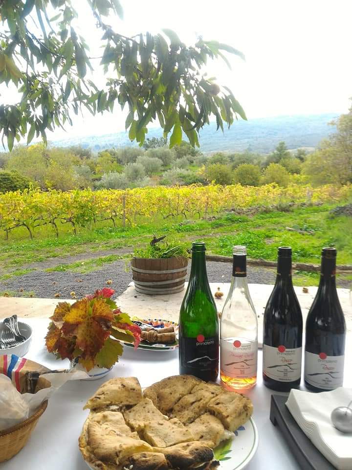 #primaterra #sciaranuova #etna #nerellomascalese #autunno