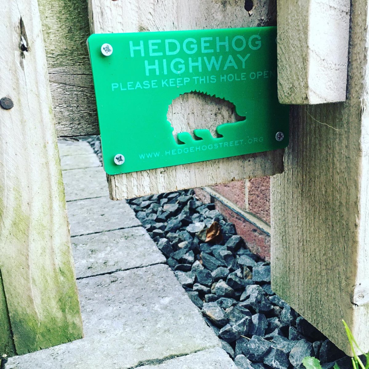 Did my bit for the #hedgehogs this year! They need all the help they can get and to fatten up for hibernation. This feeding station was cheap & easy to make & the bricks keep the cats out! 👌🏼🦔🏡💗#hedgehogfeedingstation #hedgehoghouse #gapsunderfences #hedgehogstreet