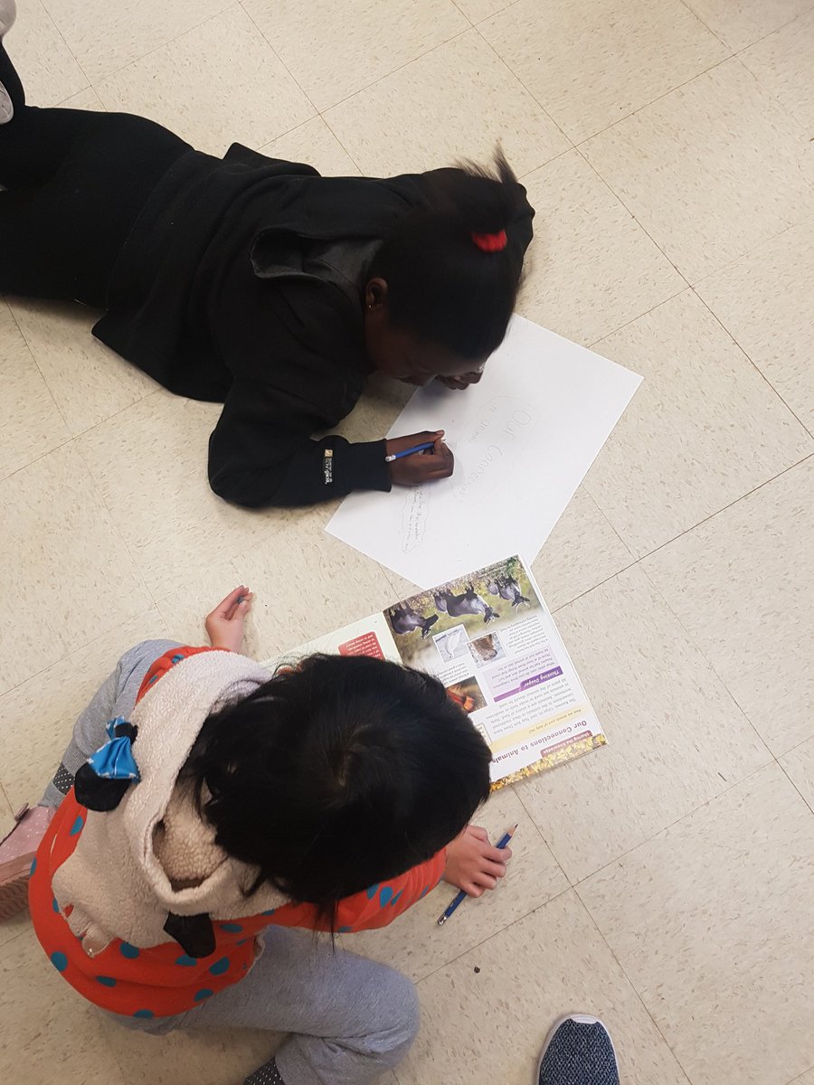 Allison Lau tweet media