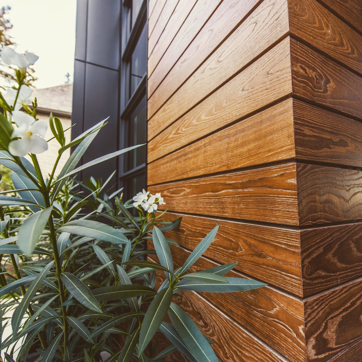 CFPWoods's tweet photo. Plants and wood. What a great combo.
#plants #greenery #wood #siding #cladding #grain #apperance #thermallymodified #torrified #trim #exteriors #facade #flower #toronto #burlington #oakville #design #landscaped #ash #woodspecies #entryway #house #architects #landscape #vancouver https://t.co/YnBVwDPhUK