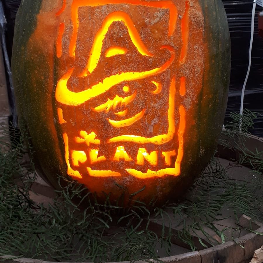 Amigo Plant BV (@amigoplant) on Twitter photo 