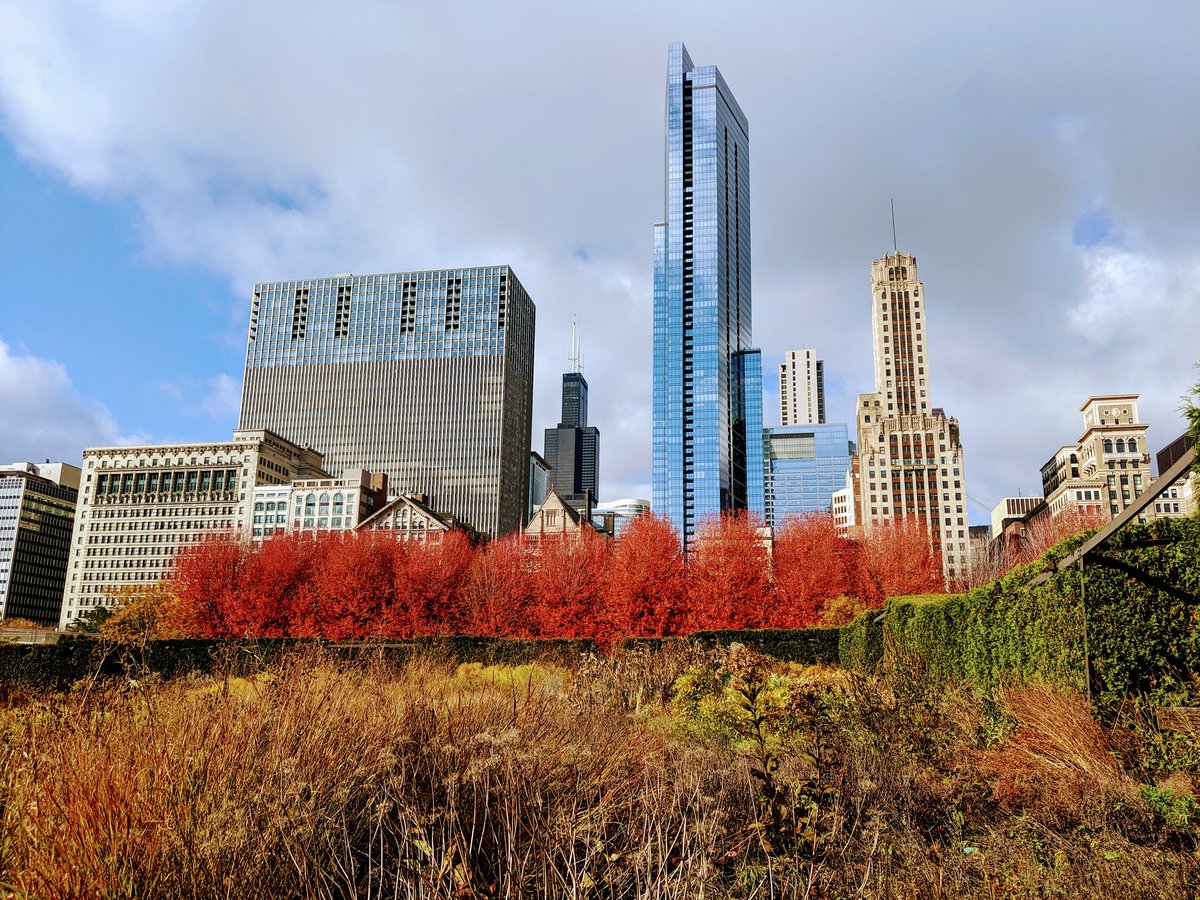 AllyEntertainUs's tweet photo. Chicago this morning #ILoveChicago 😍
Such a wonderful city, perfect to entertain, so for your next event, book your live band with us! https://t.co/jIierpRAEn 🎶
Turnkey Events available too.
 #cityscape #cityview #beautifulcity #chicago #milleniumpark
#livemusic #eventplanner https://t.co/mT3OkJueL0