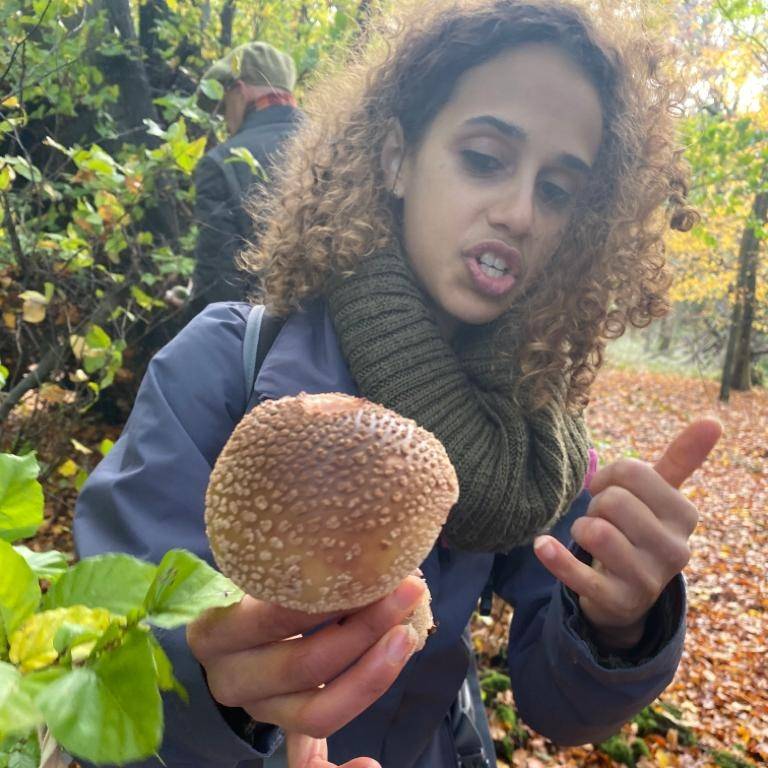 Forager Hannah out with the fantastic Chadwell hill farm boutique. Hunting for the abundance of wild foods autumn can offer. Here they're looking at the blusher mushroom, a good edible when thoroughly cooked - not to be confused with the grey spotted amanita. Food images to come.