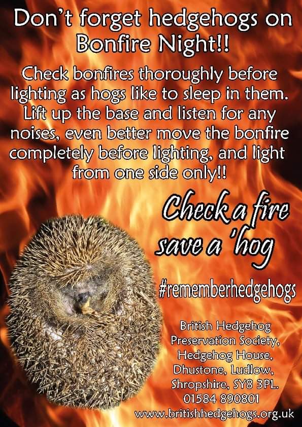 hedgehogsociety's tweet photo. Please remember to check those bonfires and if you're going to an event, check that they have too. #rememberhedgehogs #bonfirenight https://t.co/9pEcHp4zqL