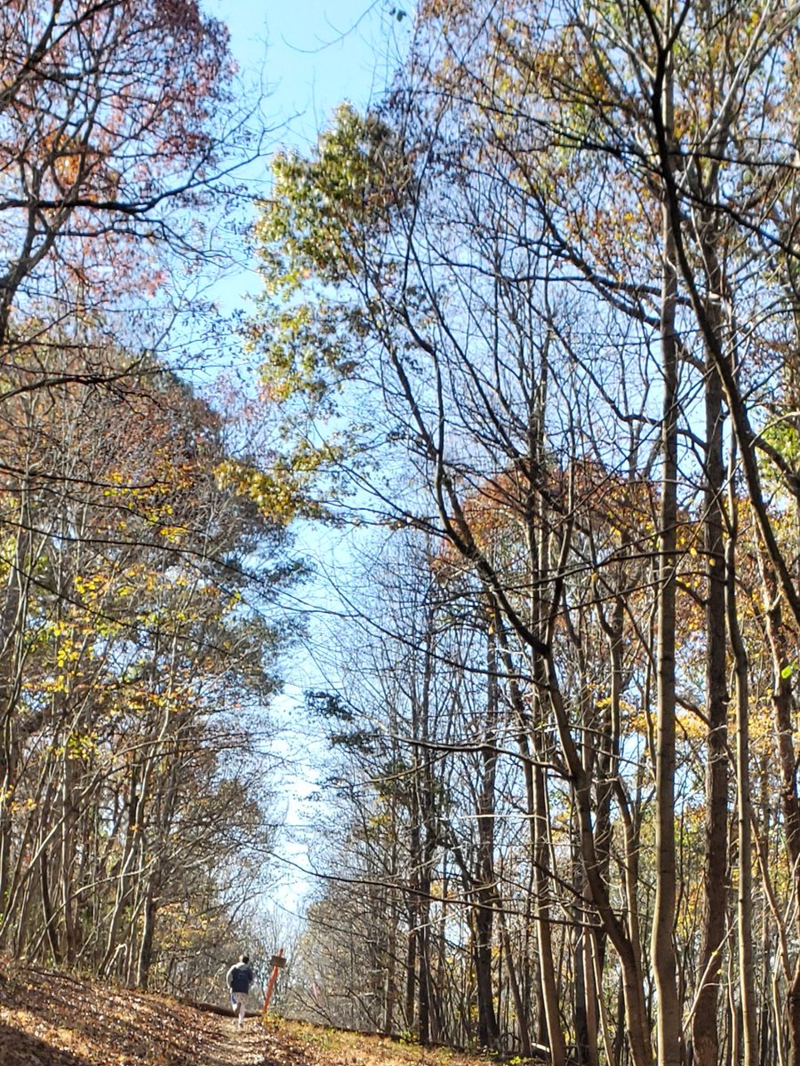 Krenner's tweet photo. My son's first trail race and first 10k
Chilly start (29 degrees), but we had fun.
#x2adventures
#tailrace
#MotherSonBonding 🏃♀️ https://t.co/TA8V5qtJ0F
