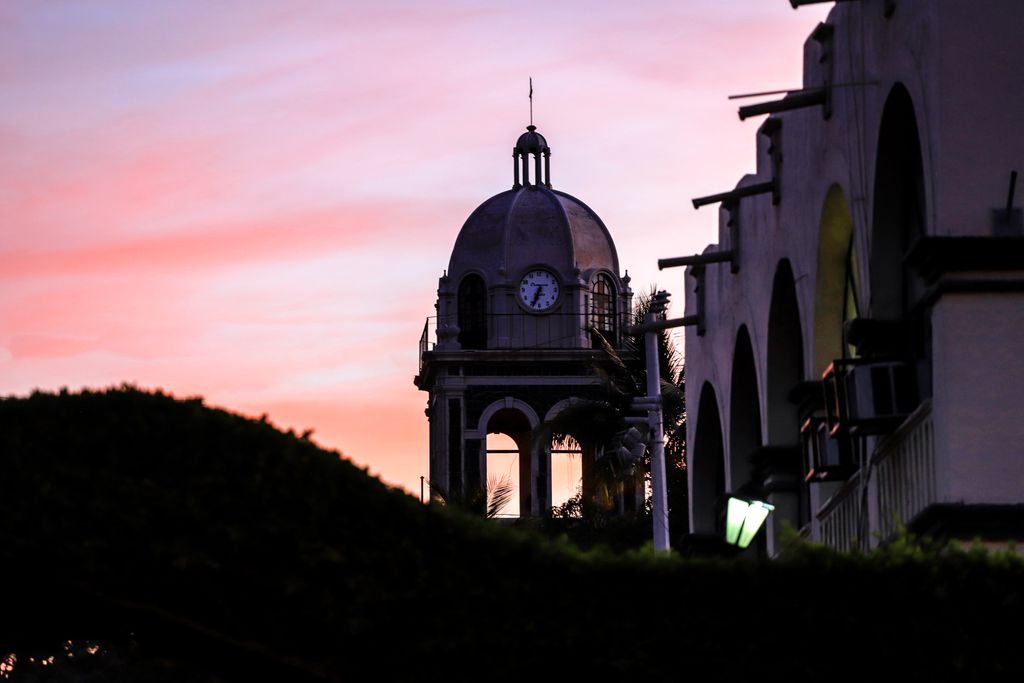 WildLoretoTours's tweet photo. It´s a new dawn, it´s a new day and I´m feeling good #WildLoreto https://t.co/ZivIp1HWKH