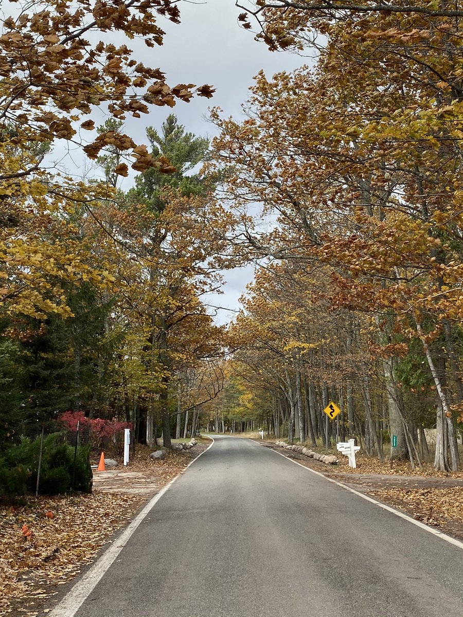 Dr Amy Thompson On Twitter Tunnel Of Trees Scenic Drive In Northern Michigan Upnorth Smittenwiththemitten