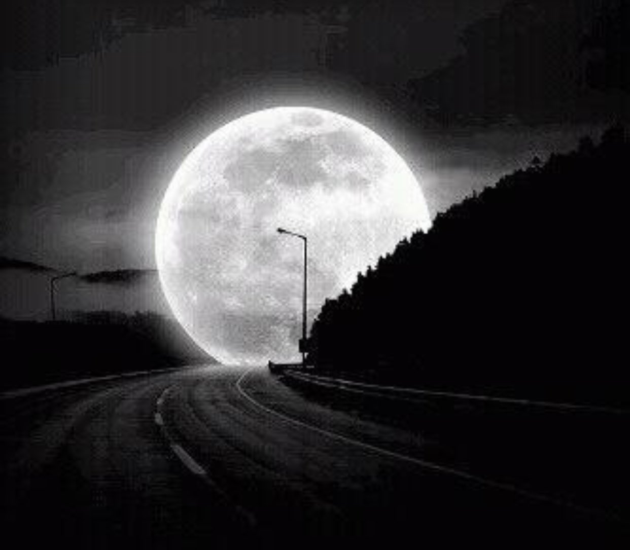 عبدالله بن عبدالرحمن  on X: "تعال نسهر على ضوء القمر وإن غاب القمر سهرنا  على نورك https://t.co/F08K4TD4vH" / X