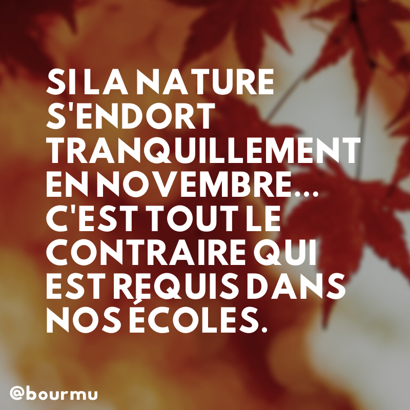 3 stratégies pour vivre le mois de novembre... autrement!
Mon plus récent billet
#leadped #eduqc #edunumqc
<a href="/ecolebranchee/">L'École branchée</a> mariusbourgeoys.ca/2019/11/02/3-s…