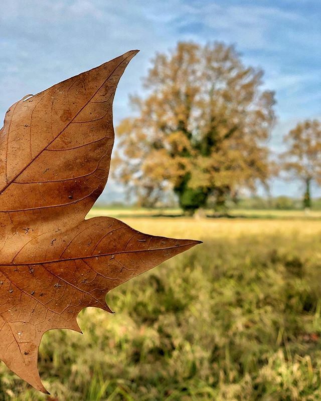 L'#InstantDestaCat que hem seleccionat avui és aquesta imatge de @tonipascualcuenca. Moltes gràcies, Toni, per les teves fotos i per compartir-les amb nosaltres!
💜❤️💛💚💙
.
👉🏻Recordeu: si voleu ser mencionats, seguiu-nos i etiqueteu amb #igerscatalonia… ift.tt/2WzGGMS