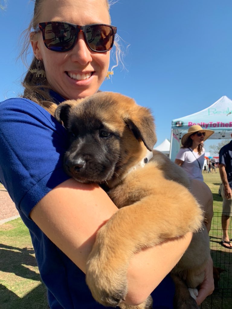 LocalFirstAZ's tweet photo. 🚨PLS ADOPT THESE LOCAL PUPS🚨 #AZFallFest #LocalFirstAZ https://t.co/mBxlKB6OvT