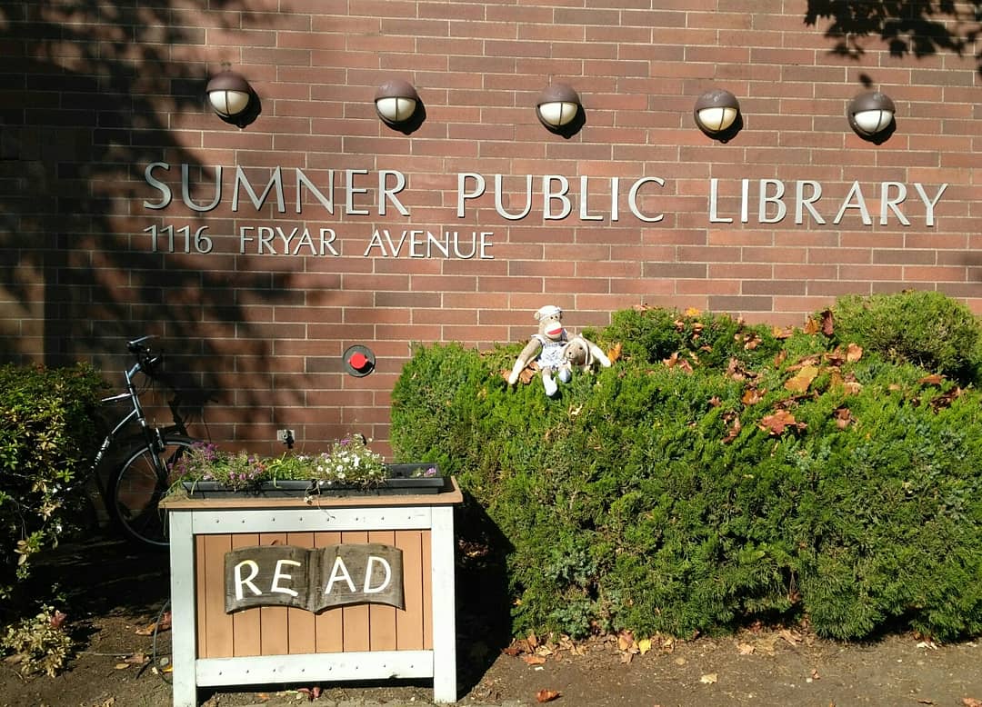 PCWriter2's tweet photo. Polly Esther and Pierson are enjoying a bit of sun in front of the #Sumner branch of the @piercecountylibrary system. We're so thankful they are a #NaNoPierceCo #comewritein host this year! Please come write with us if you're available! https://t.co/Uw34SN775X