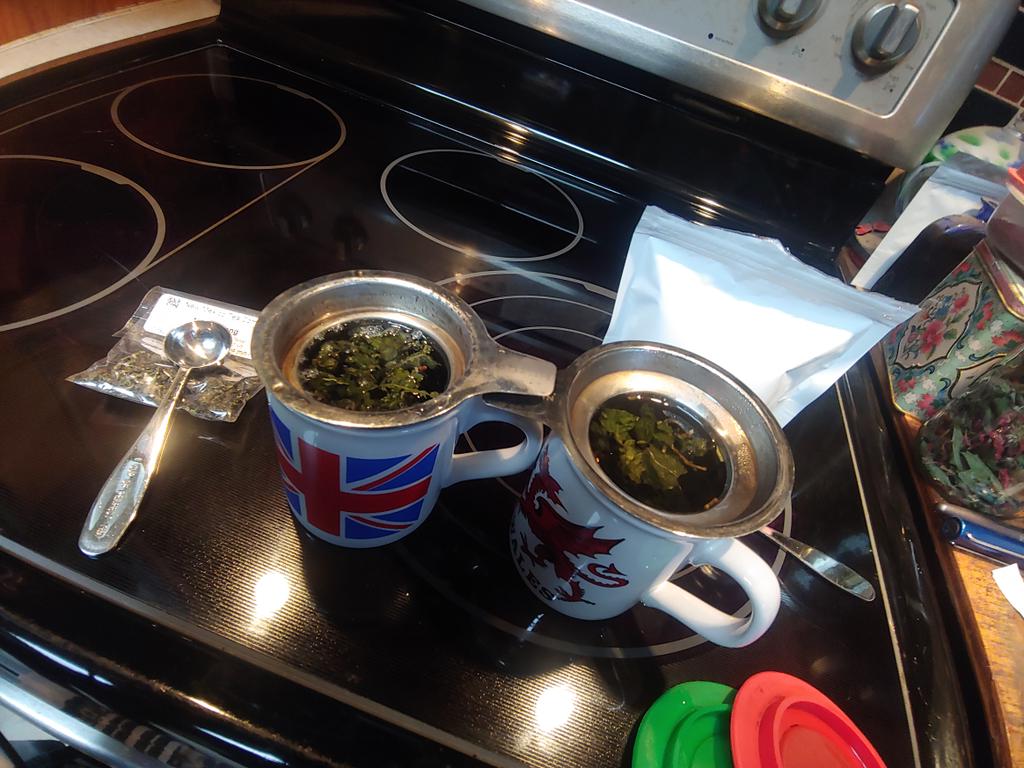 Two tea mugs, side by side, with tea steeping.  Around them are lids, tea scoops, and a couple bags of loose tea.
