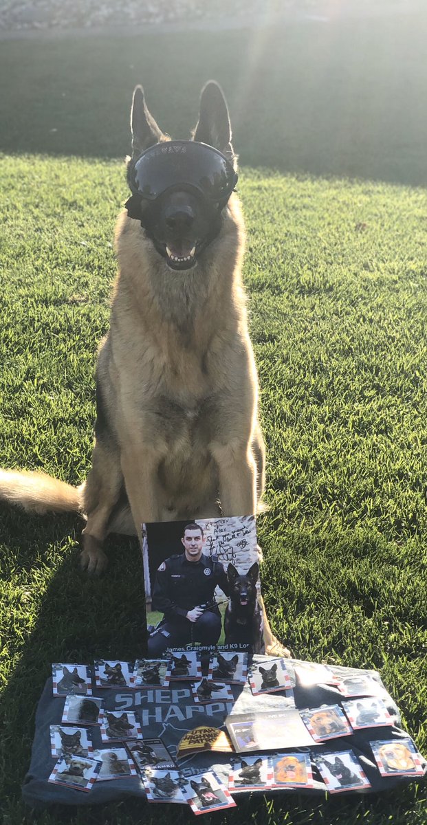 Titan adding a little more swag to his collection courtesy of @dmoreno274. Thank you! Let’s see what else he can get! @OfficialLivePD @LivePDFamily @FanpageLivepd @Sean_C_Larkin @TrpCallicoat @CKingery_LPD @MuscuttRachel @addy_pez @Bill_Burt_409